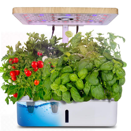 Hydroponic Grow Kit - Beyond Xposure