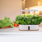10 Pods Hydroponic Indoor Herb Garden Growing System | White