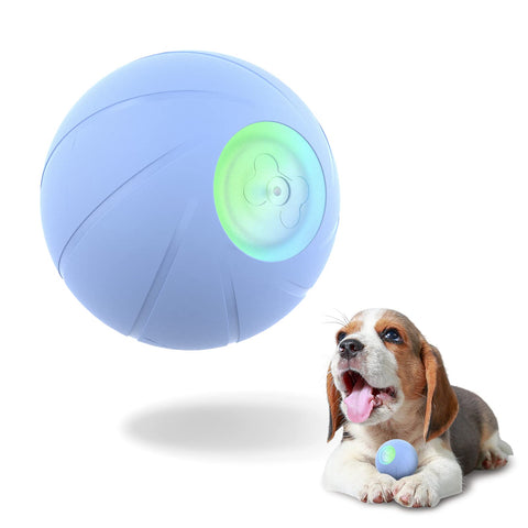 Buy Interactive Dog Toy Ball - Beyond Xposure