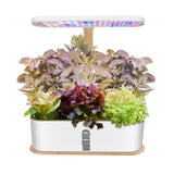 Buy Indoor Hydroponic Growing System - Beyond Xposure