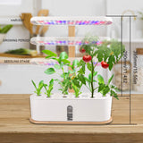 10 Pods Hydroponic Indoor Herb Garden Growing System | White