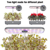 12 Pods Hydroponics Growing System w/ LED Grow Light | Charcoal
