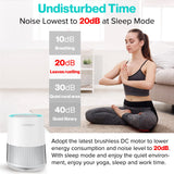 Smart WiFi Air Purifiers for Office | No Ozone