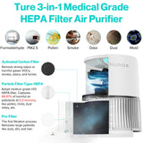 Smart WiFi Air Purifiers for Office | No Ozone