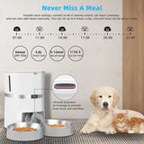 Smart  Automatic Pet Feeder Two-Way Splitter and Two Bowls | WHITE