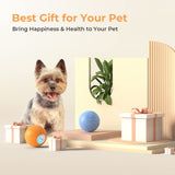 Rechargeable Smart Interactive Dog Toy Ball SE (Small/Medium Breeds) | ORANGE
