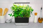 6 Pod Hydroponic Indoor Garden Kit w/ LED Grow Light | Black