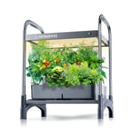 Order 12 Pod Stackable Hydroponics Growing System - Beyond Xposure