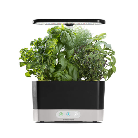 Find Indoor Vegetable Garden Starter Kit - Beyond Xposure