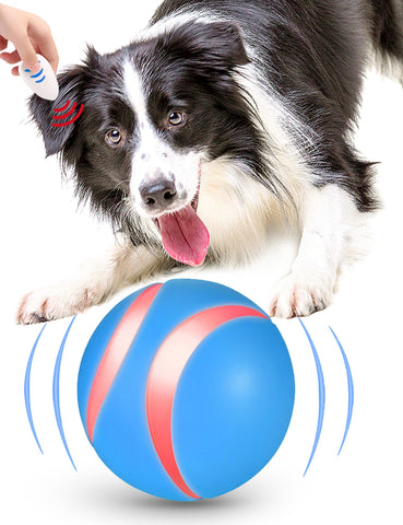 Order Remote Control Pet Ball Toy - Beyond Xposure
