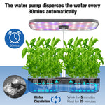 12 Pods Hydroponics Growing System w/ LED Grow Light | Charcoal