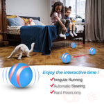Rechargeable Remote Control Pet Ball Toy
