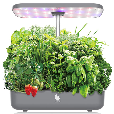 Find Hydroponic Growing System 12 Pods - Beyond Xposure